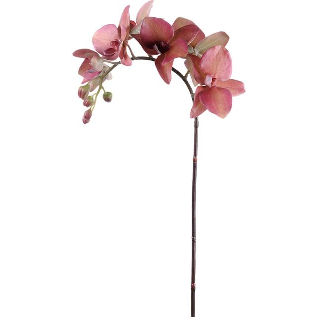 Snittblomst artificiale / kunstig orkidé