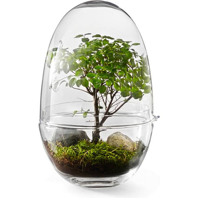 Design House Grow Mini - bild 2