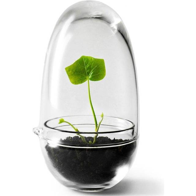 Design House Grow Mini - bild 3