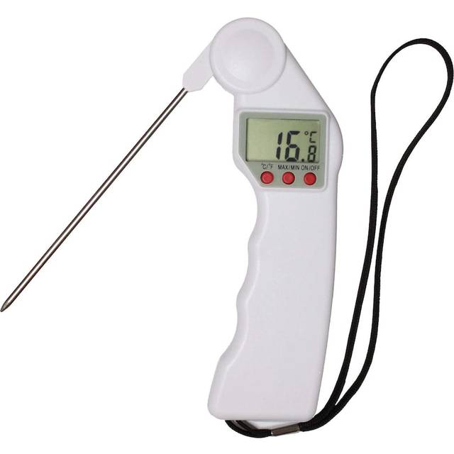 Insert Ovnstermometer
