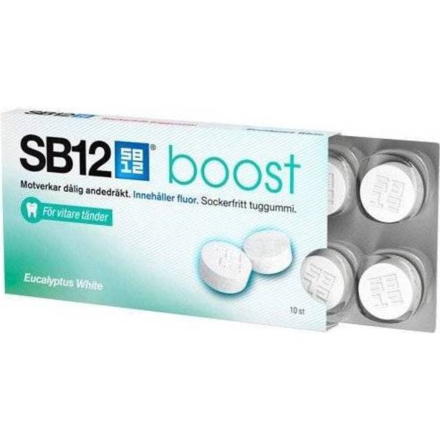 SB12 Boost - bild 2