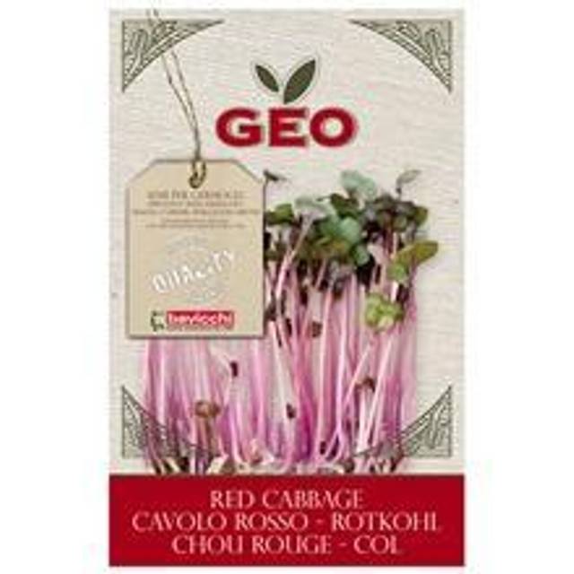 Geo Rødkålfrø Økologisk 12g