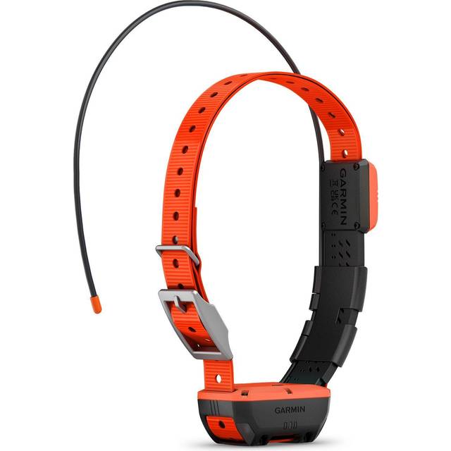 Garmin Alpha T20