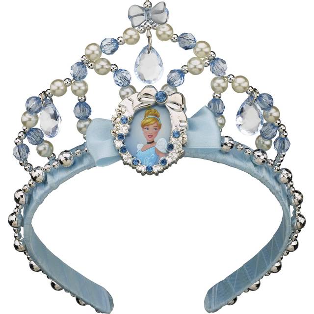 Disguise Cinderella