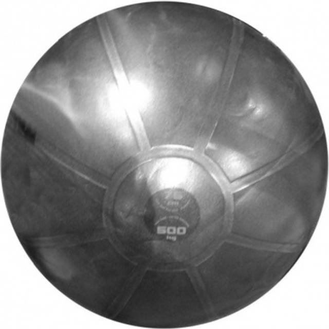 Toorx Gym ball PRO AHF149 D75cm antiburst charcoal