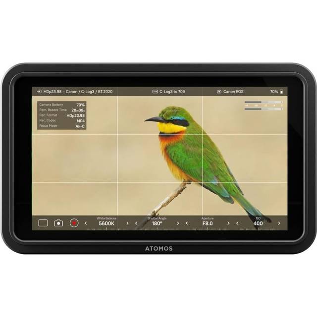 Atomos Shinobi II - bild 2