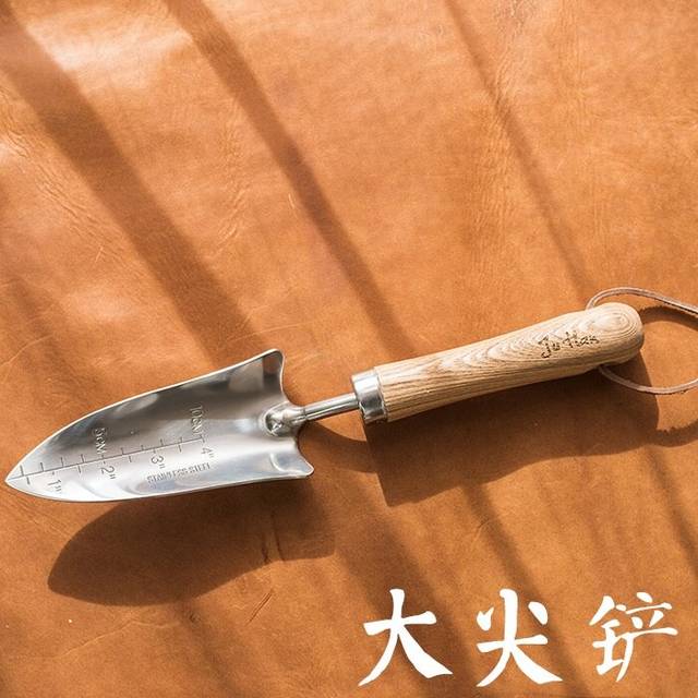 Rustfritt Stål Spade