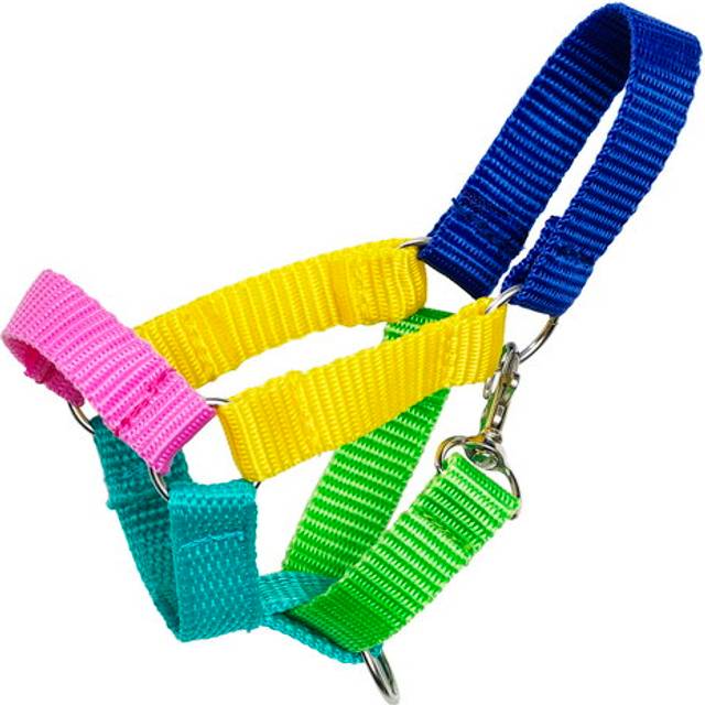 Panduro Hobby Regnbuefarget Nylon Grime For Pony