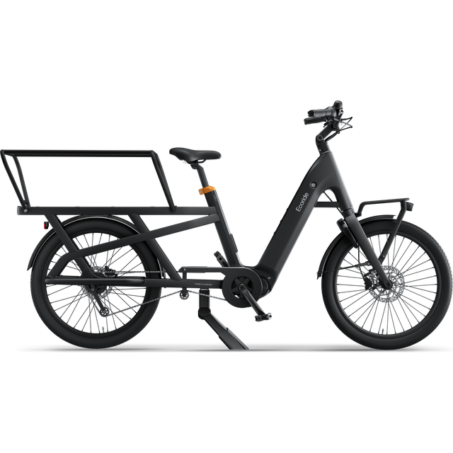 Ecoride Loader 812 Longtail EP6-Cargo Nexus 5