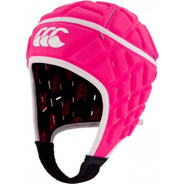 Canterbury Raze (Rosa)