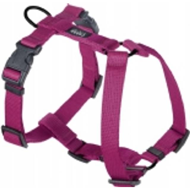 Chaba Guard M