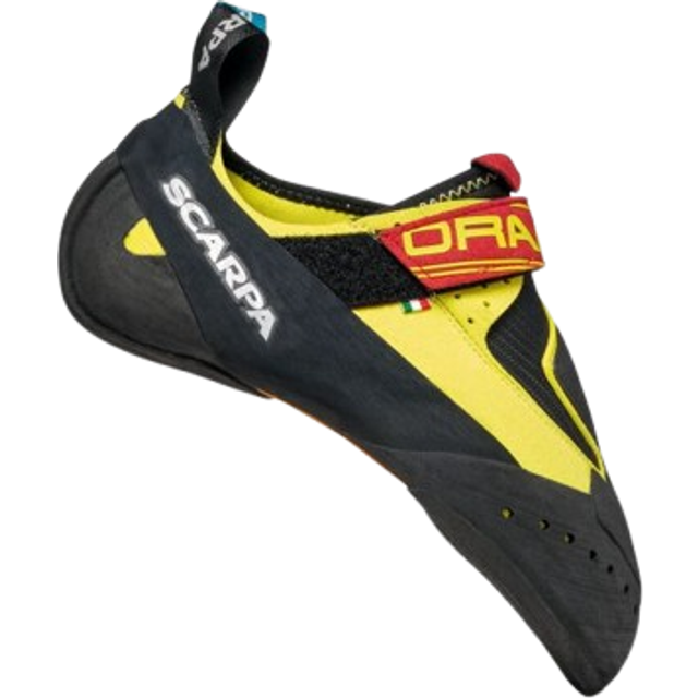 Scarpa Drago